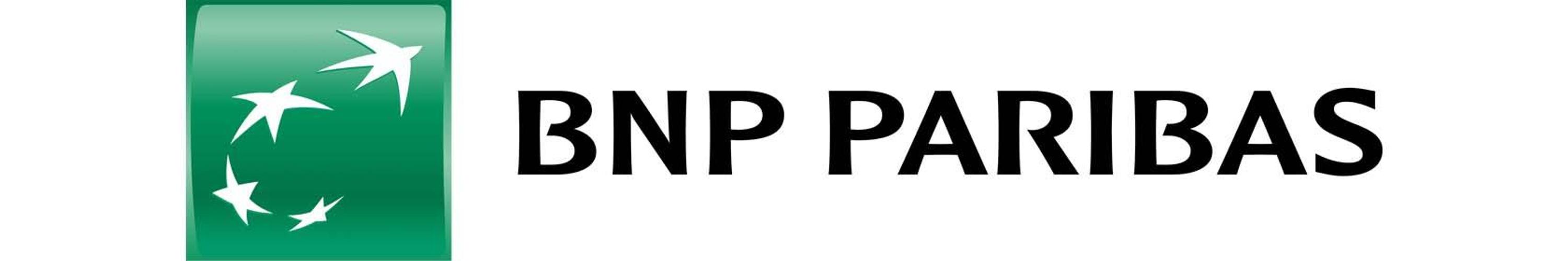 BNP Logo